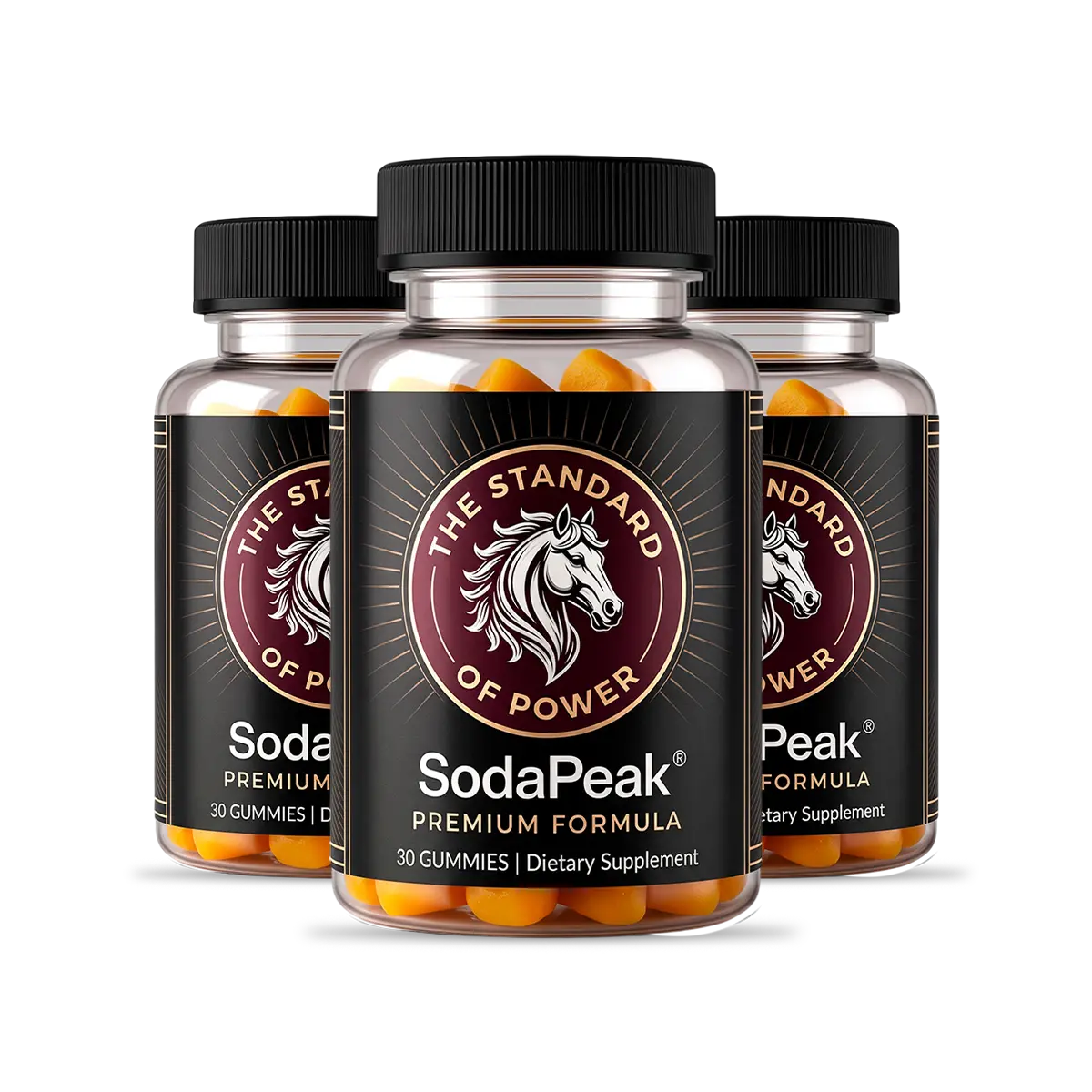 SodaPeak 3 Bottles
