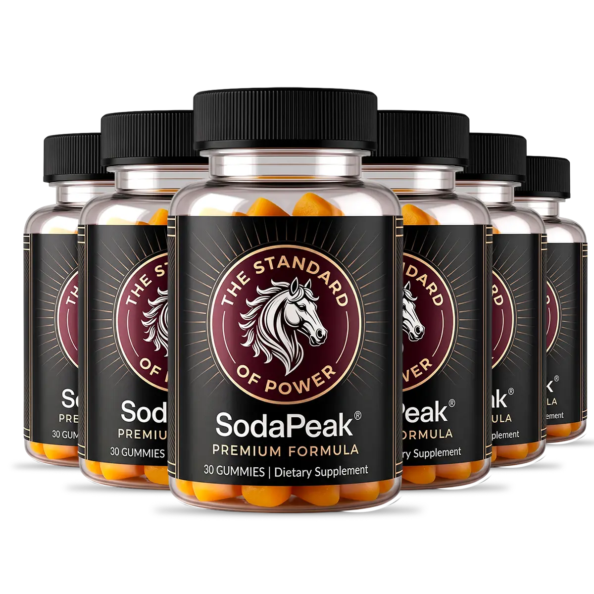 SodaPeak 6 Bottles